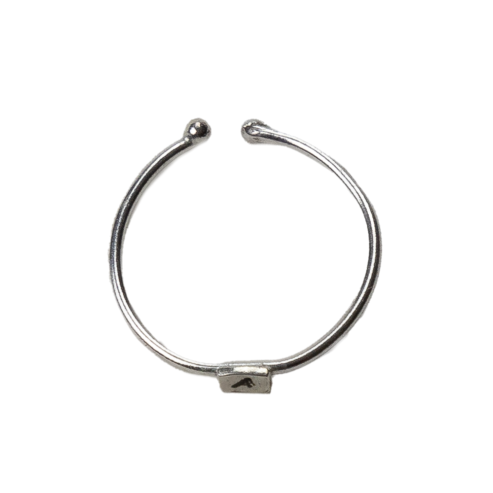 Anillo inicial