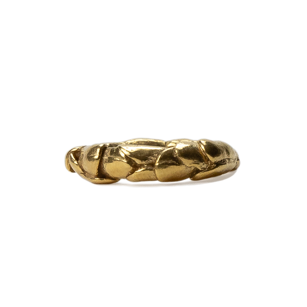 Anillo Erebo