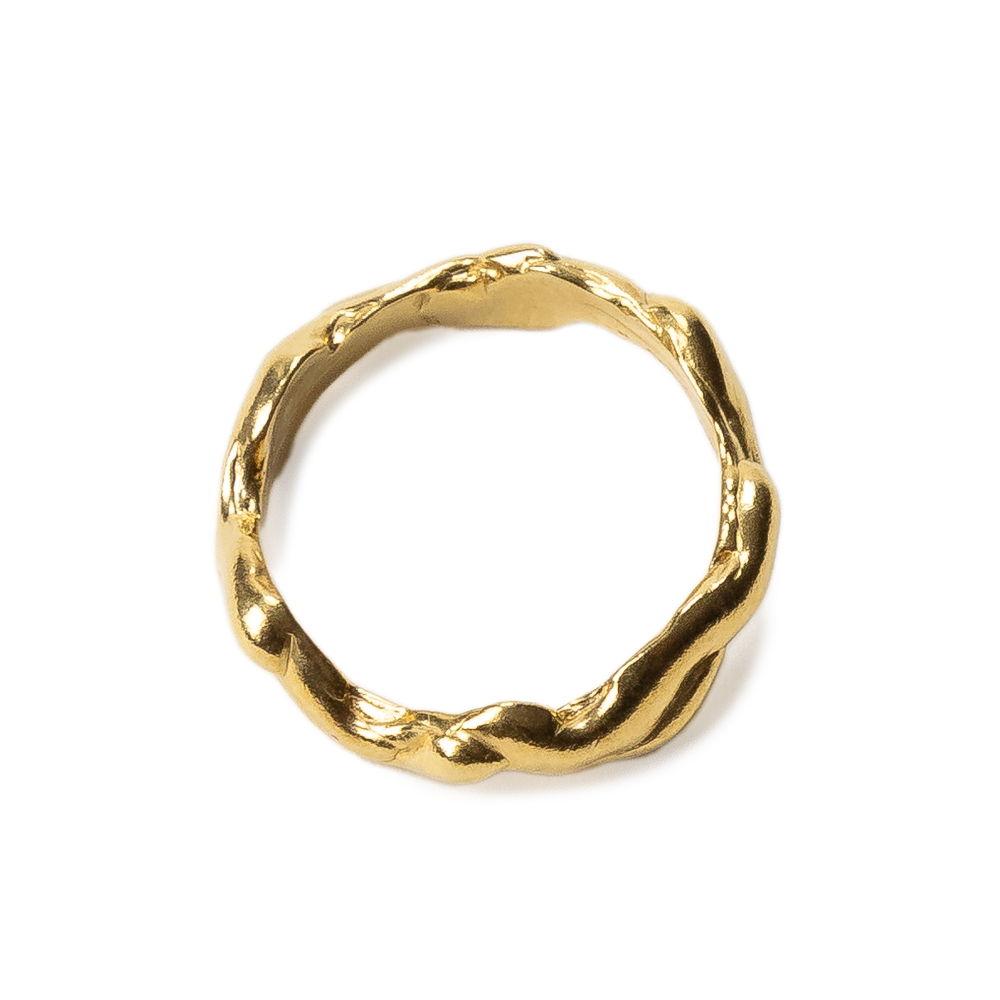 Anillo Neptuno