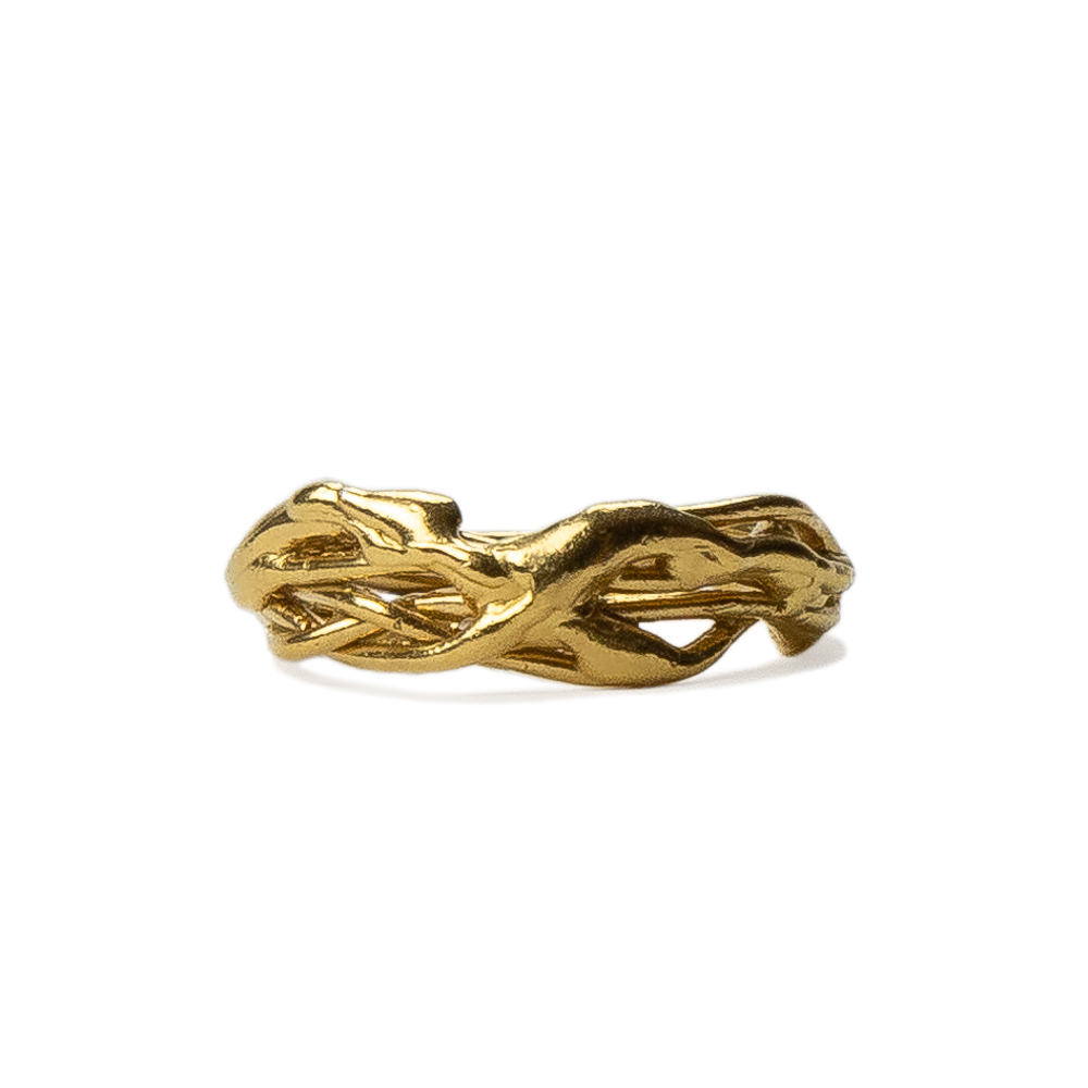 Anillo Aracne