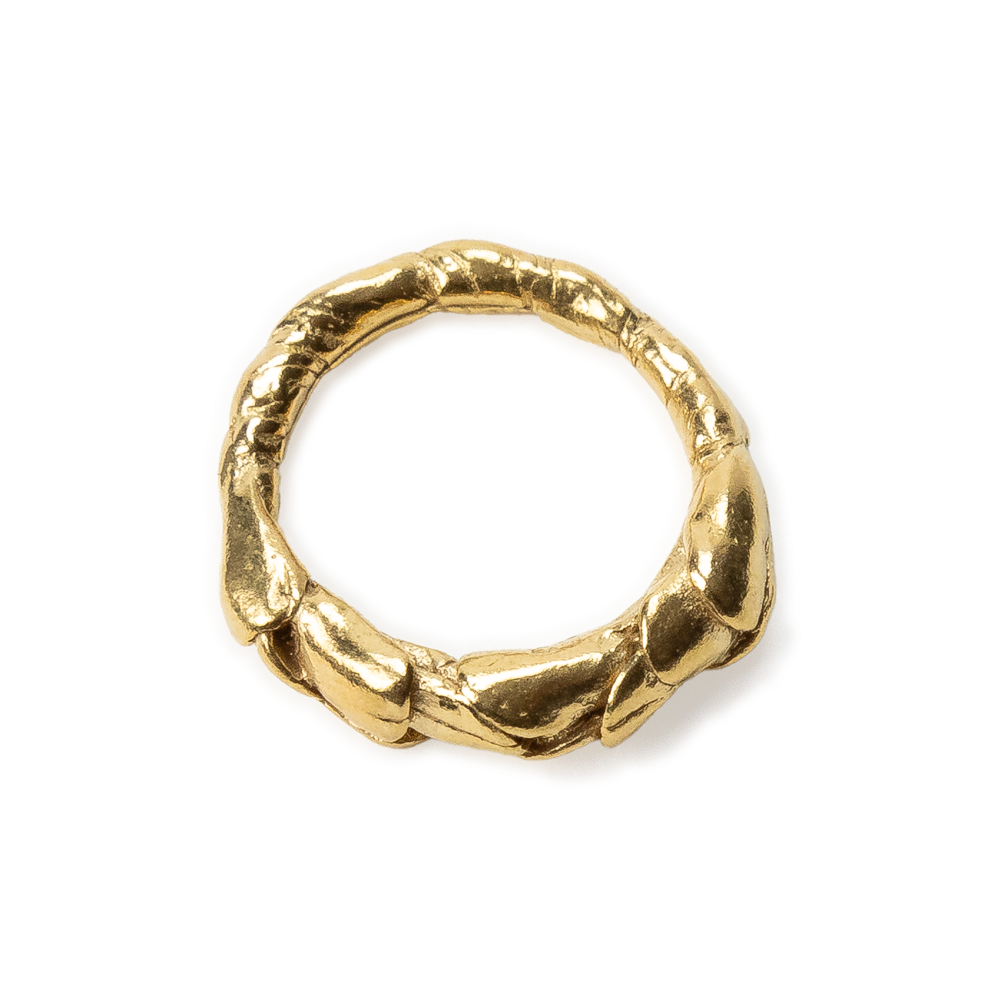 Anillo Erebo