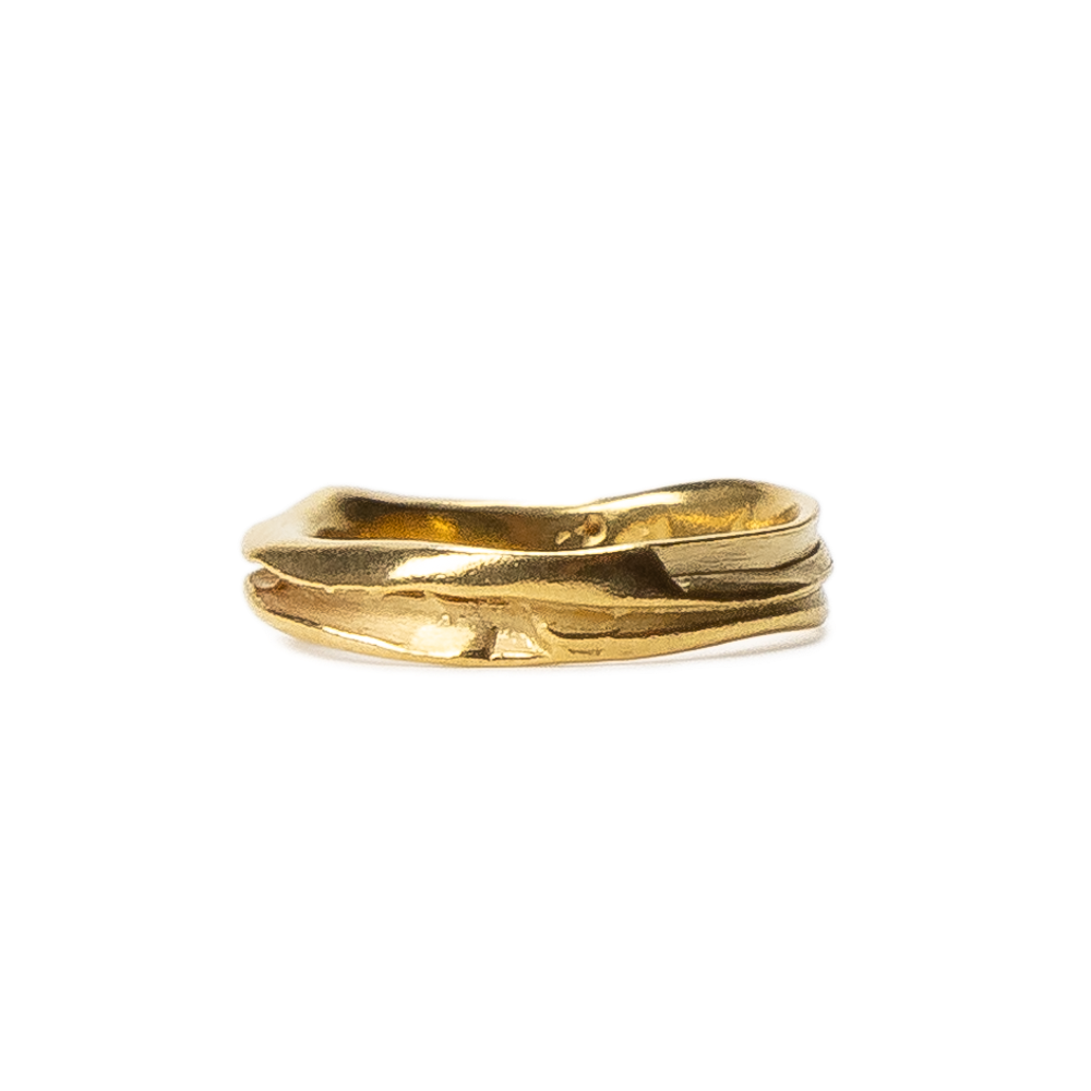 Anillo Chronos