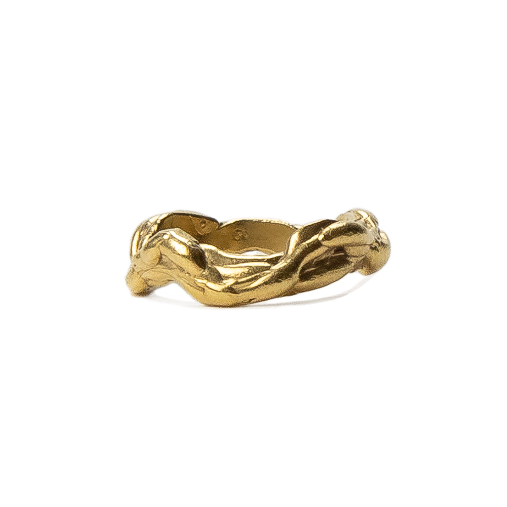 Anillo Neptuno