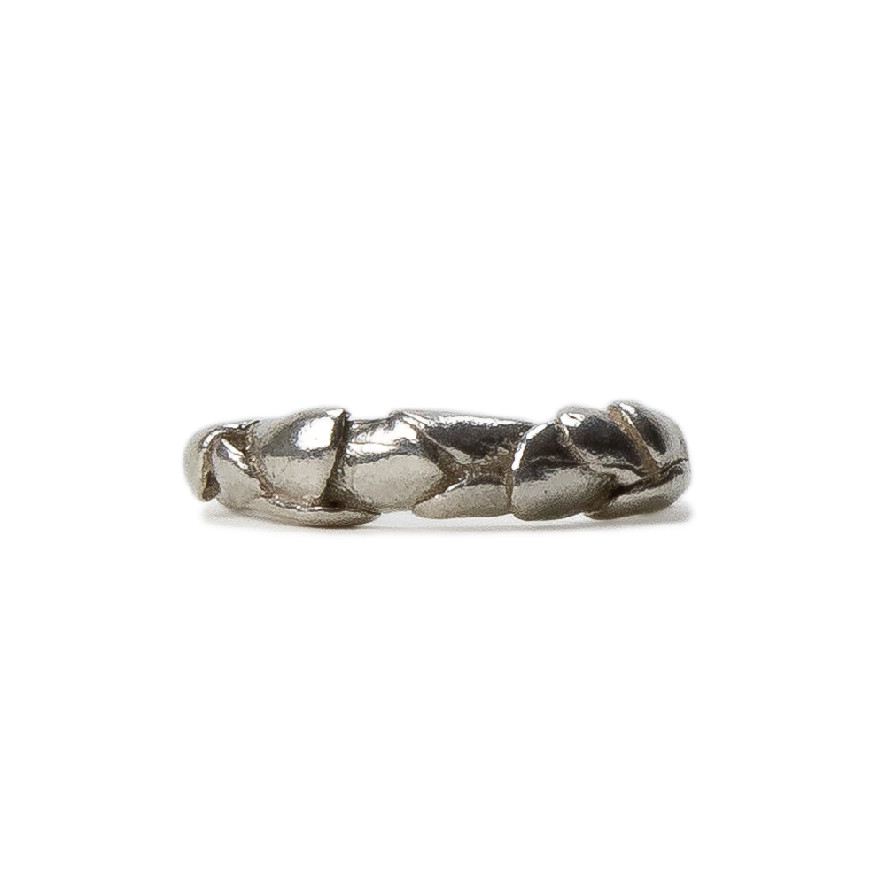 Anillo Erebo