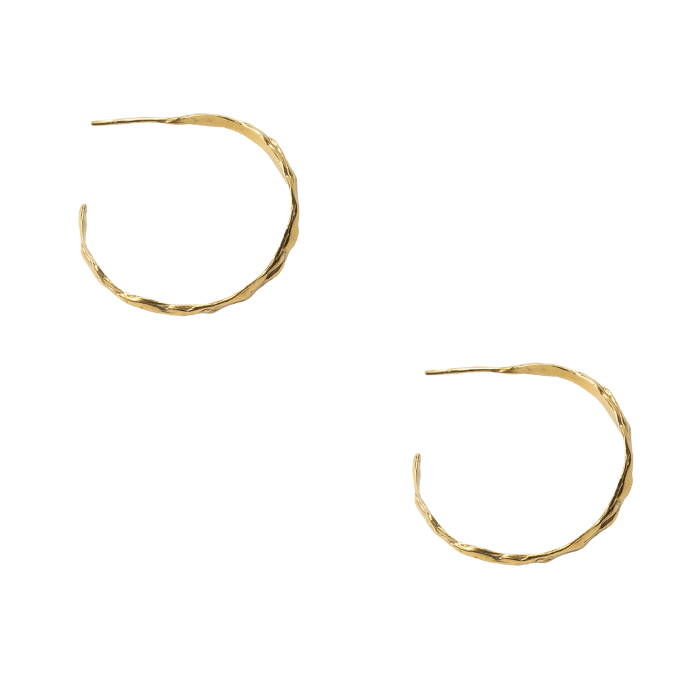 Aretes Neptuno Clásicos