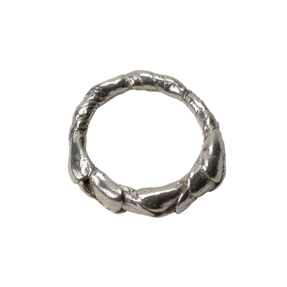 Anillo Erebo