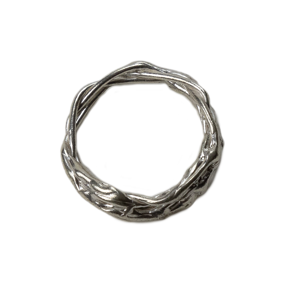 Anillo Aracne