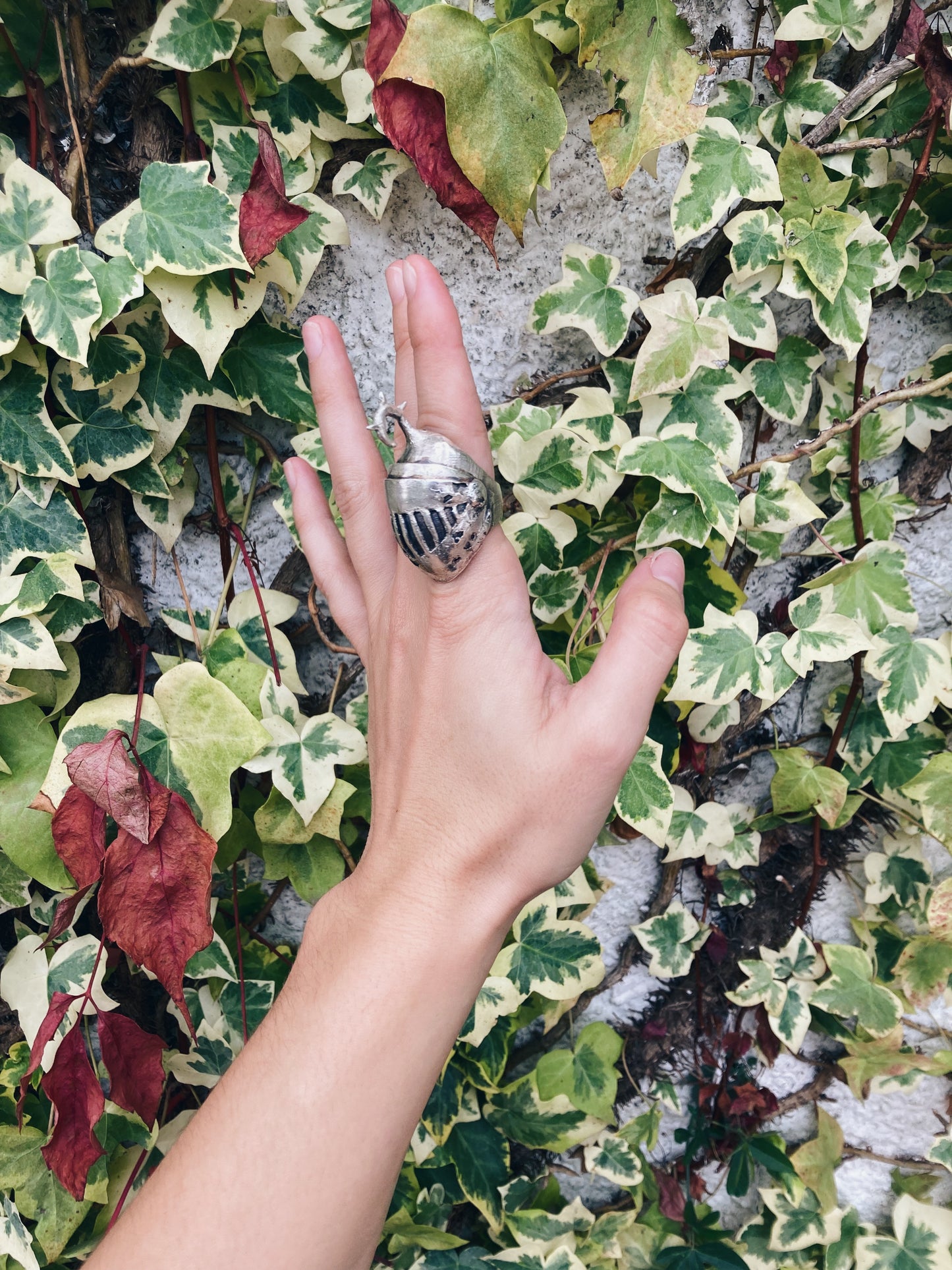 Anillo Marte