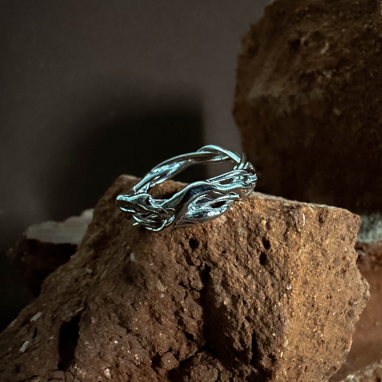 Anillo Aracne